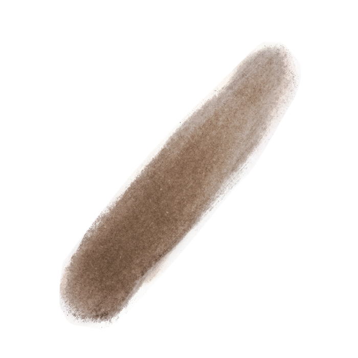 1000 Hour Dab-On Hair Colour Concealer