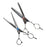 Iceman Kansai 6.5" Hairdressing Scissors and Thinner Set