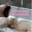 Bakslap Black Beauty Washable Replacement Sponges