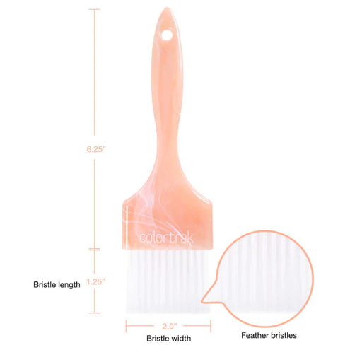 Colortrak Canyon Skies Paint Brush