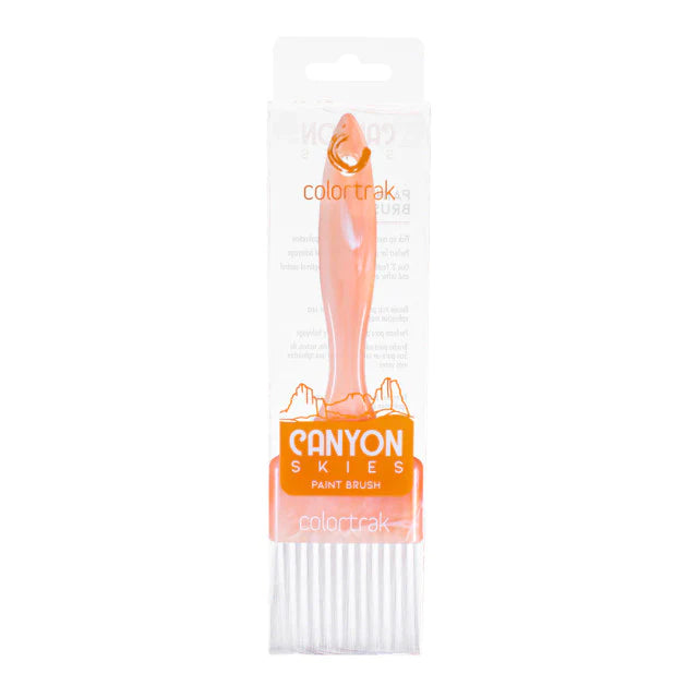 Colortrak Canyon Skies Paint Brush