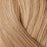 Showpony 20" 7-piece Clip In Hair Extensions Box Set