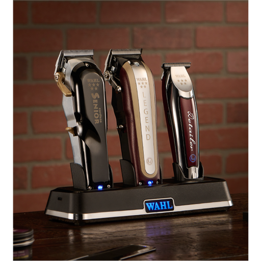 Wahl Multi Charge Power Station