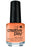 CND Creative Play Clementine, Anytime