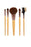 Eco Tools Starter Brush Set 6pc